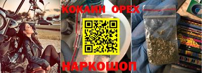 spice Кунгур