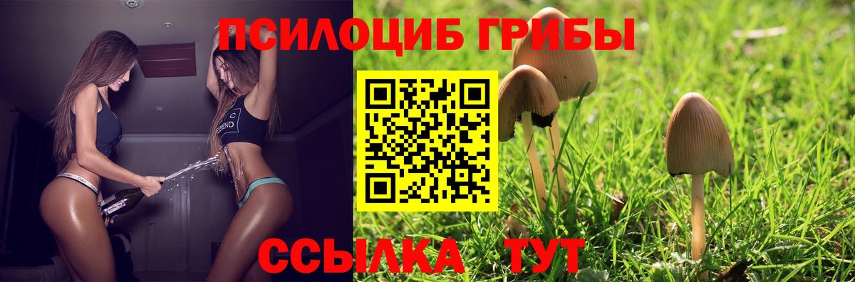 Псилоцибиновые грибы мицелий  Галлюциногенные грибы Psilocybe  Вход с VPN  Усть-Илимск 